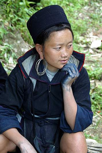 Hmong Stam